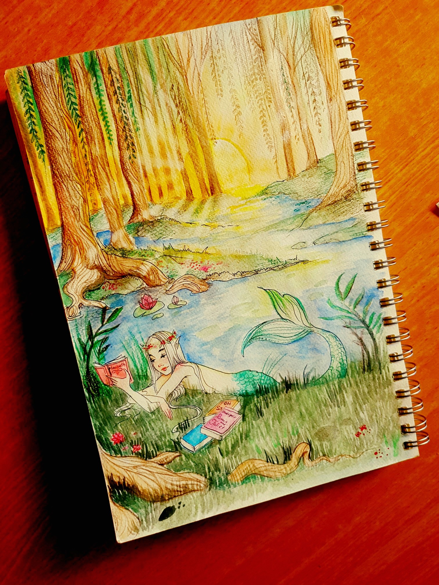 Entry 137046 in Portfolio by סופיה אוסטרובסקי