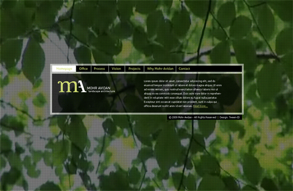 Entry 10461 in Portfolio by tween-id