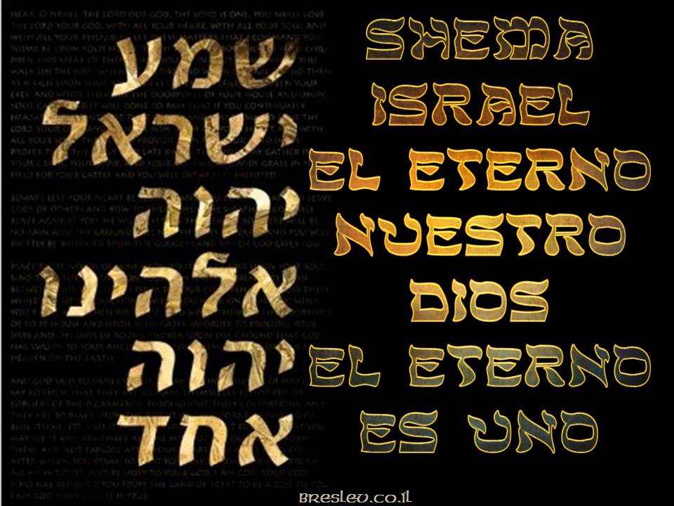 Entry 219240 in Portfolio by Sara Efrati Translations