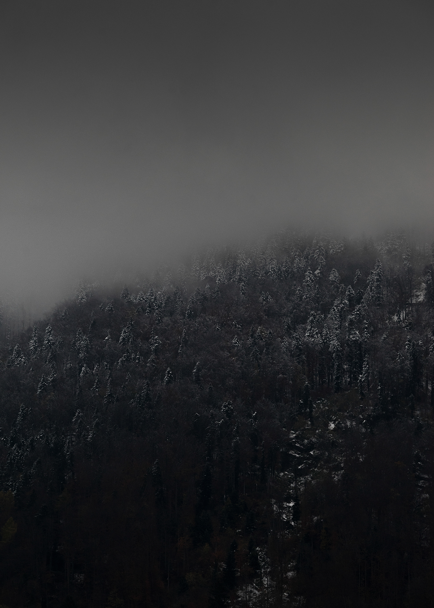 Entry 141651 in SWISS by DigitalMind