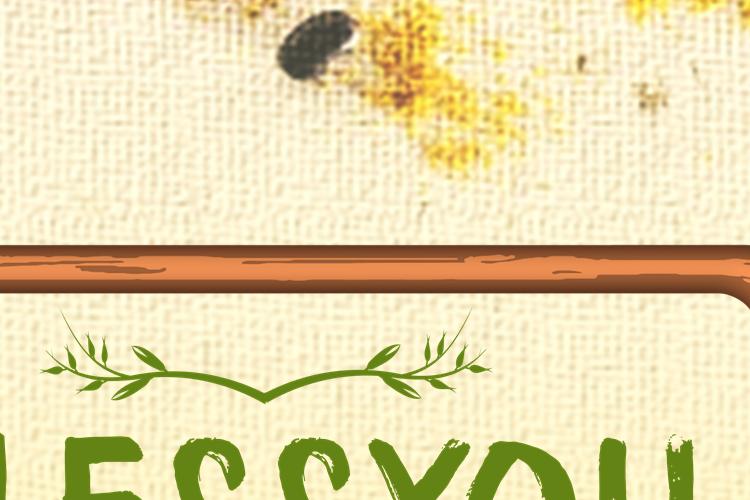 Open Zoomed Related Entry בלסיו.png