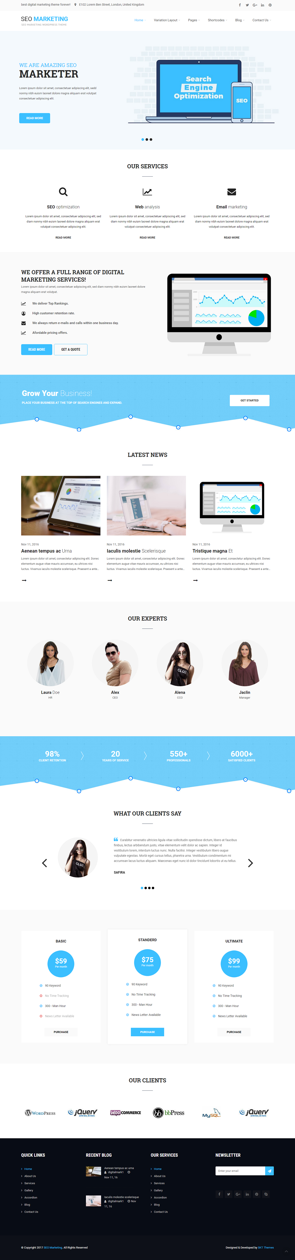 Entry 182330 in Digital Marketing WordPress theme by SKT Themes