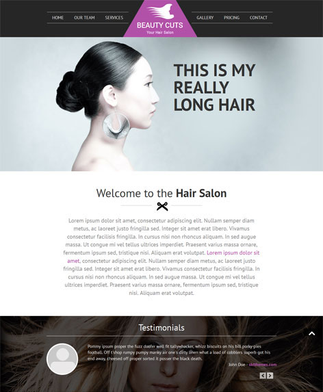Entry 182662 in Hair Salon Wordpress Theme by SKT Themes