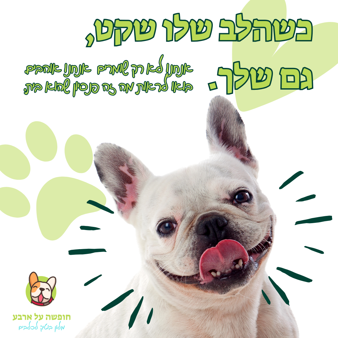 Entry 331048 in Portfolio by אלעד אוחנה גרפיק