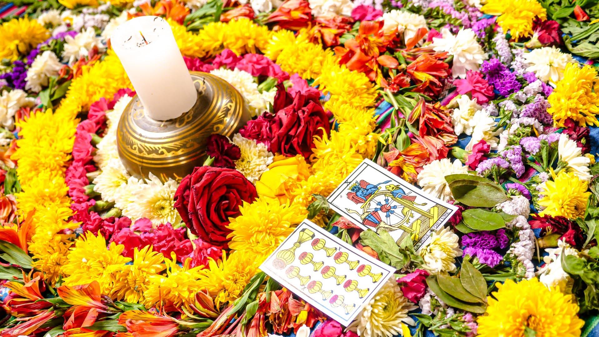 Entry 341726 in Portfolio by קיץ ברבנר - צילום עם סיפור