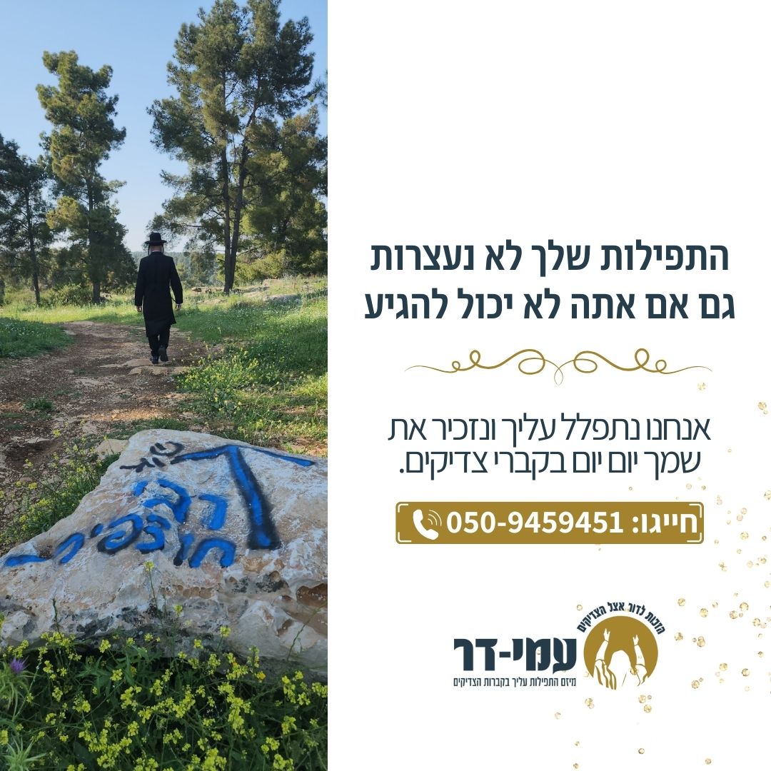 Entry 326962 in עמידר by אסטרטגיה, תוכן, מיתוג וקידום