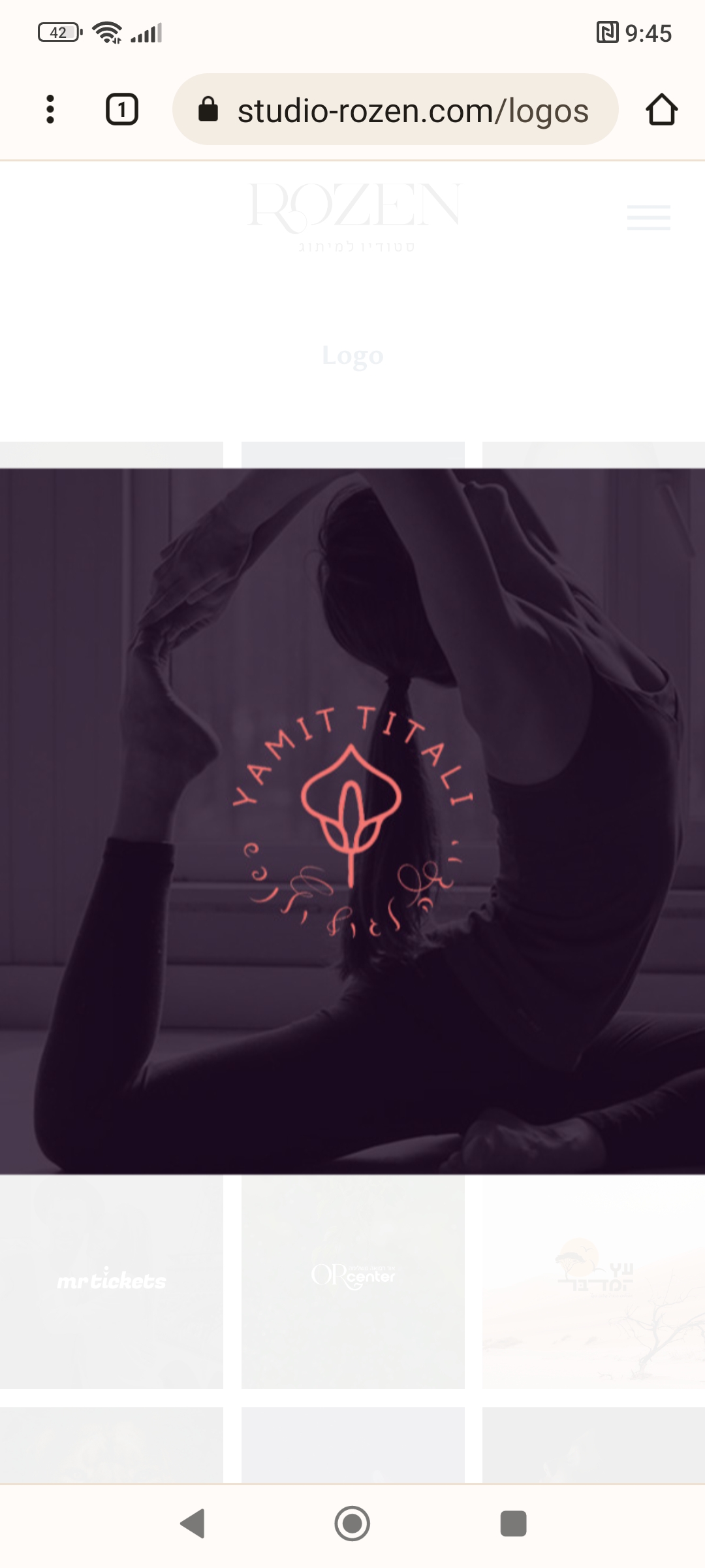 Entry 280815 in Portfolio by STUDIO ROZEN