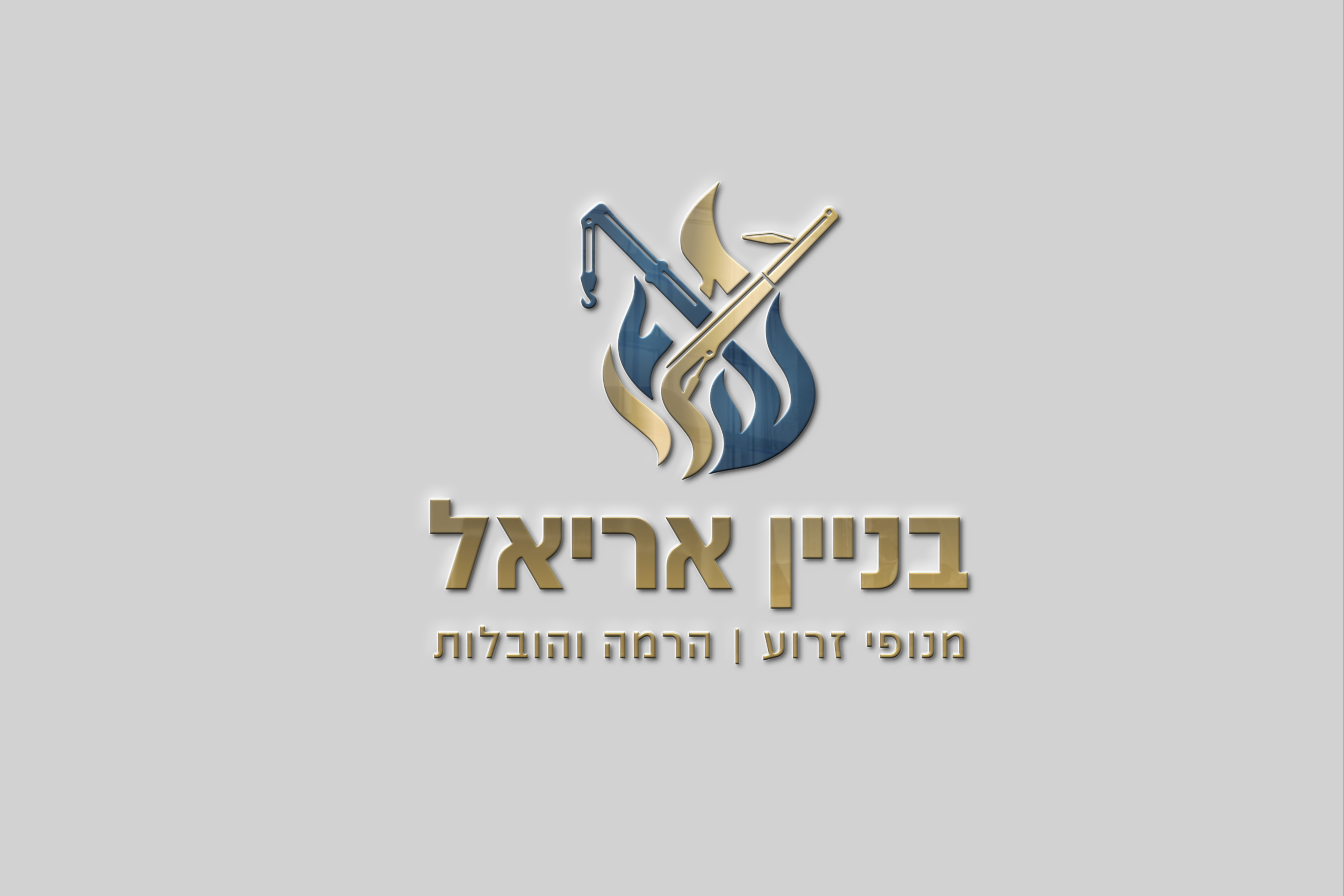 Entry 347360 in לוגיים by אדלי מיתוג ועיצוב גרפי
