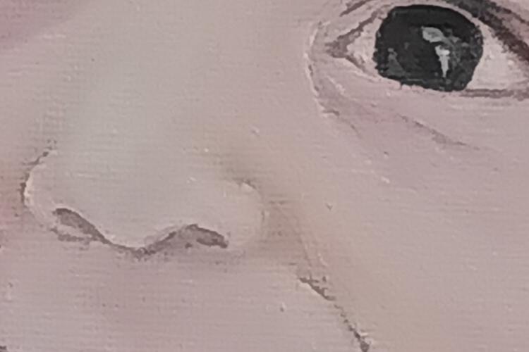 XPlace פרילנסרים | עבודה מהבית לפרילנסר ועבודות פרילנס לפרילנסרים