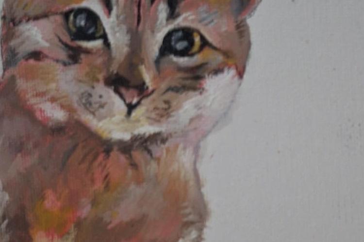 XPlace פרילנסרים | עבודה מהבית לפרילנסר ועבודות פרילנס לפרילנסרים