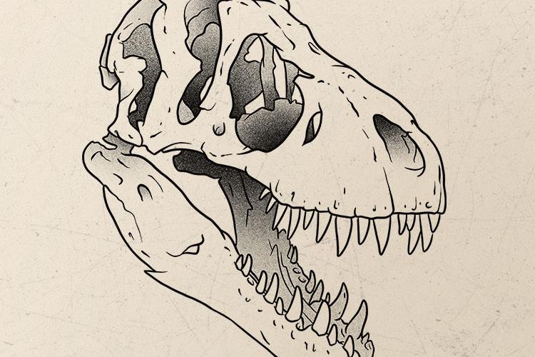 Open Zoomed Related Entry Trex s.jpg