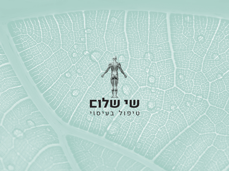 Entry 284994 in שי שלום | עיצוב לוגו, אתר ואלמנטים גרפיים נוספים by עדי. עיצוב גרפי