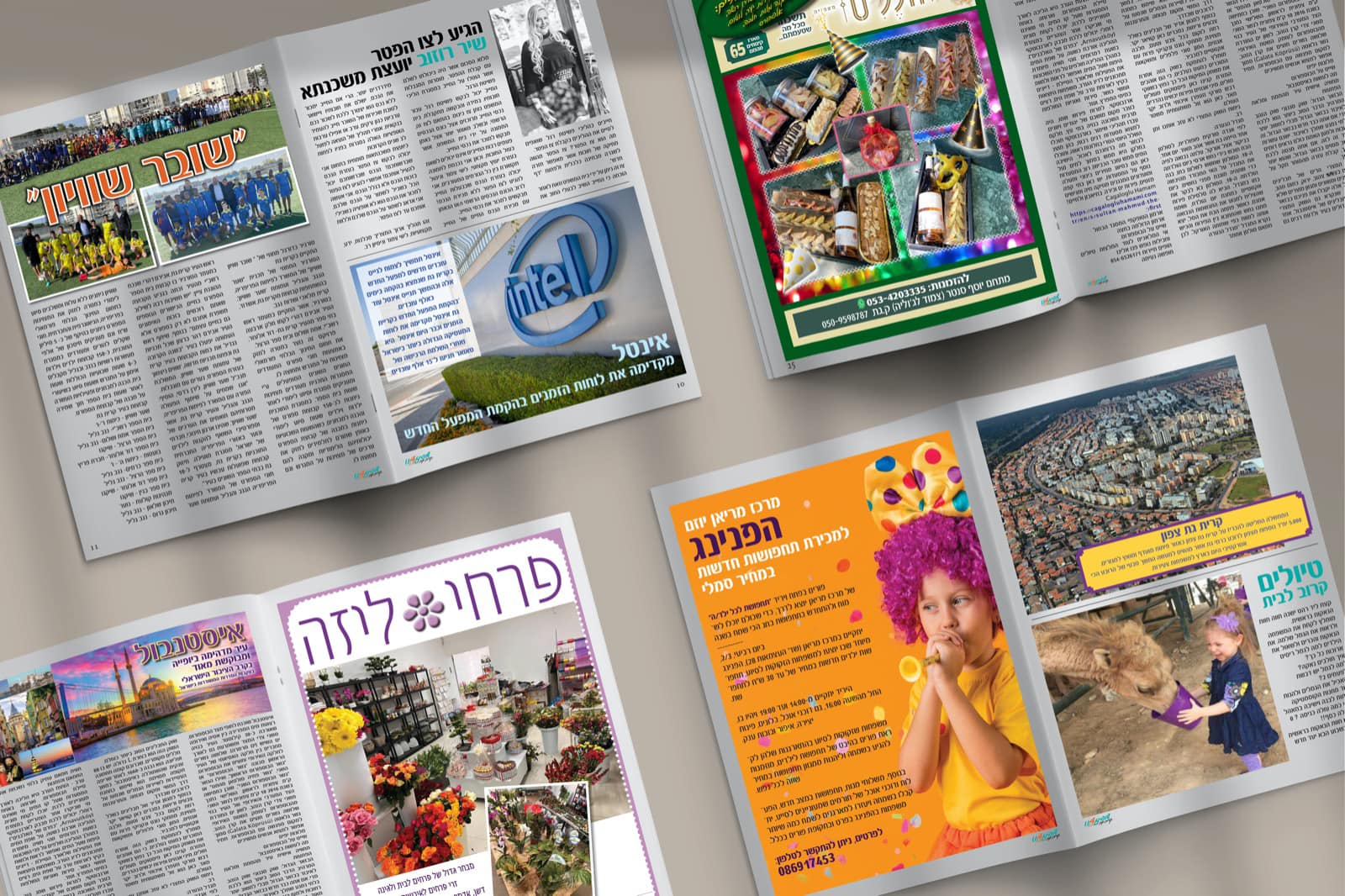 Entry 348682 in Portfolio by תמר חיימזון (כהן)