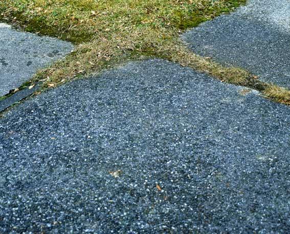 Entry 7229 in Portfolio by דניאלה הורבין- צלמת