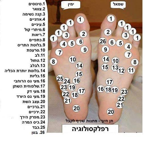 Entry 68647 in Portfolio by מוסיקאי ומדריך ירי
