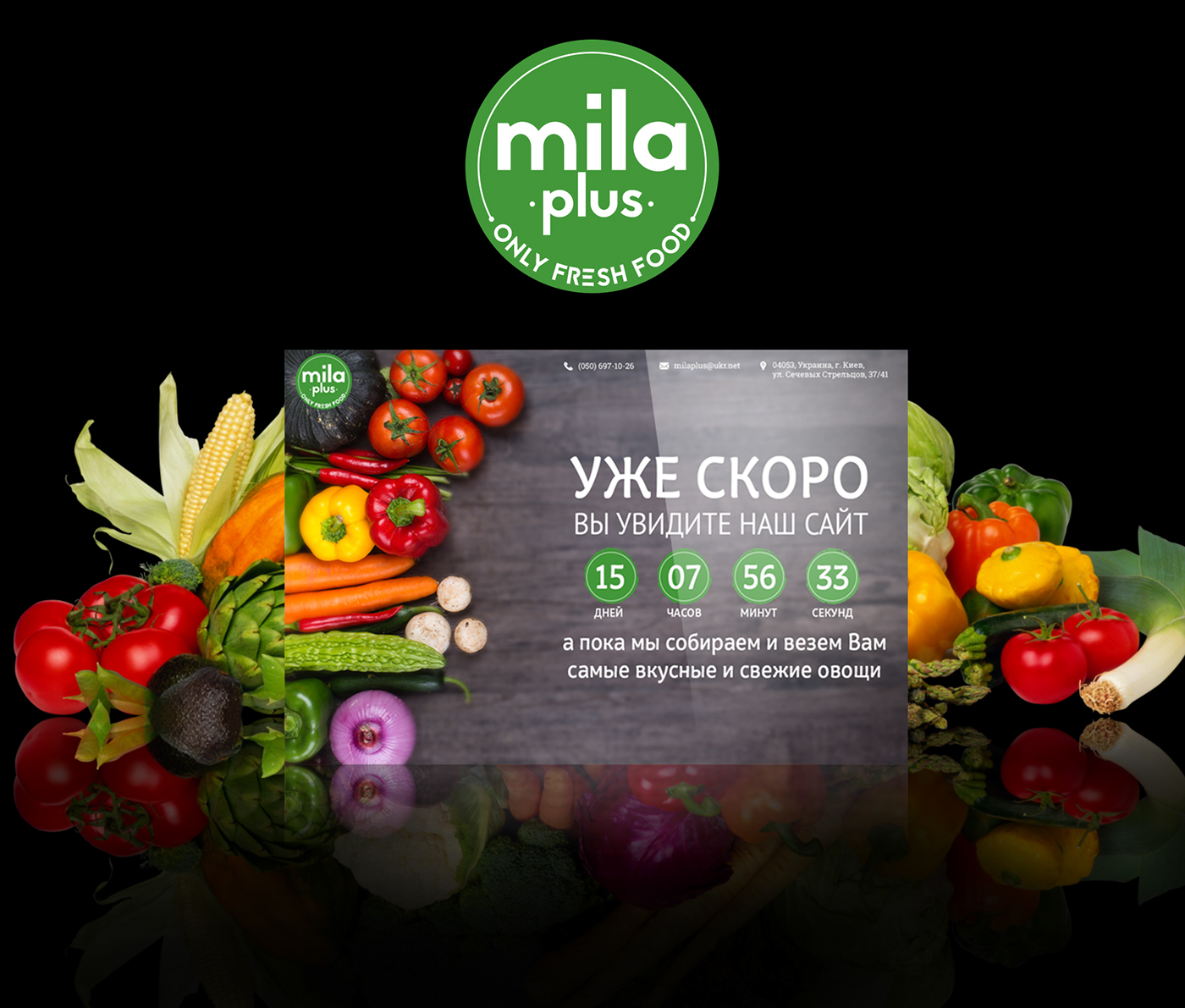 Entry 140037 in Заглушка для сайта Mila+ by Dubovyk Studio