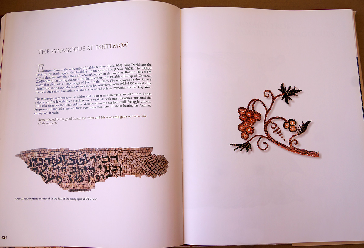 Entry 106780 in BOOK & COVER Design by Alina Pikovsky-Yoffe, Graphic/WEB Design