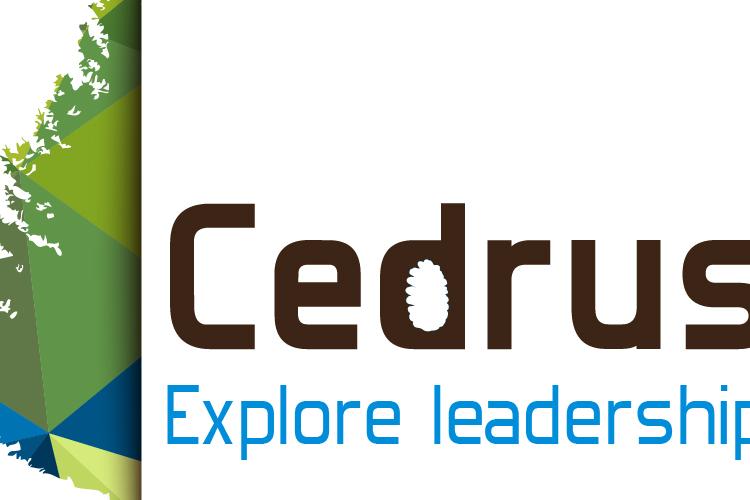 Open Zoomed Related Entry cedrus-01.jpg