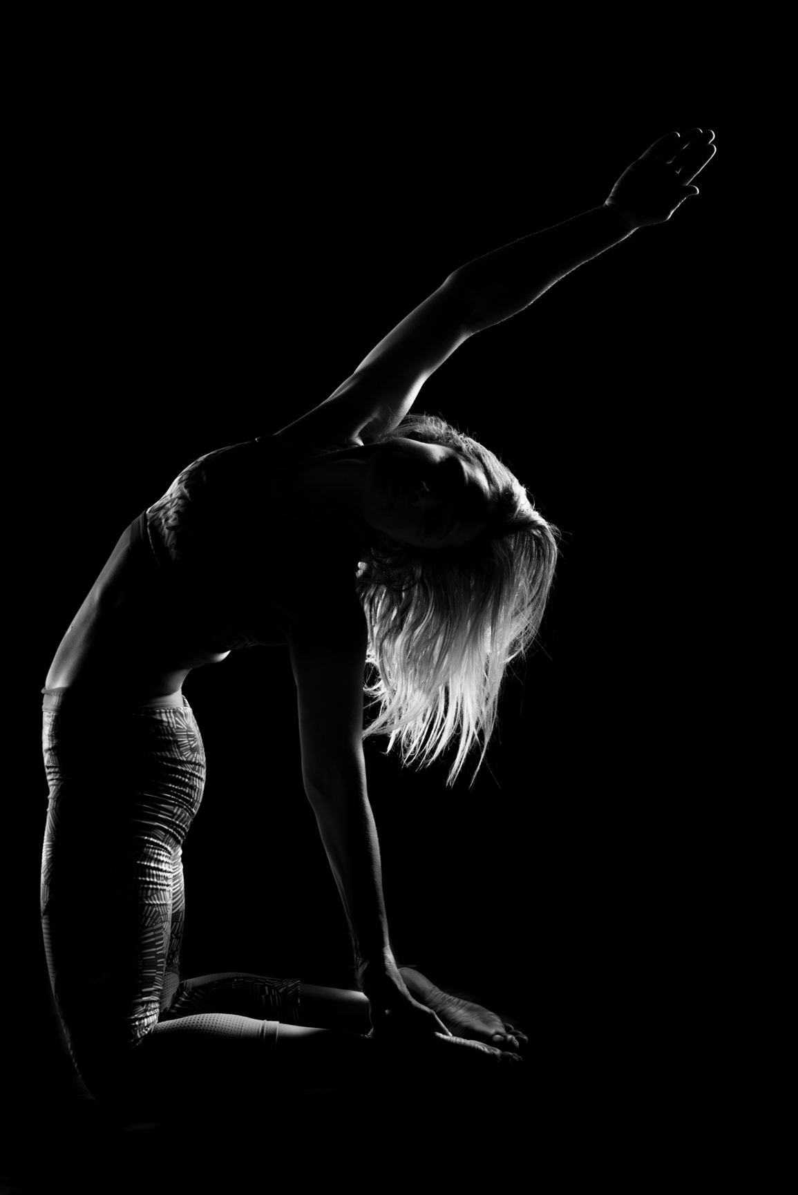 Entry 121132 in B&W by Ron Stollman Photography