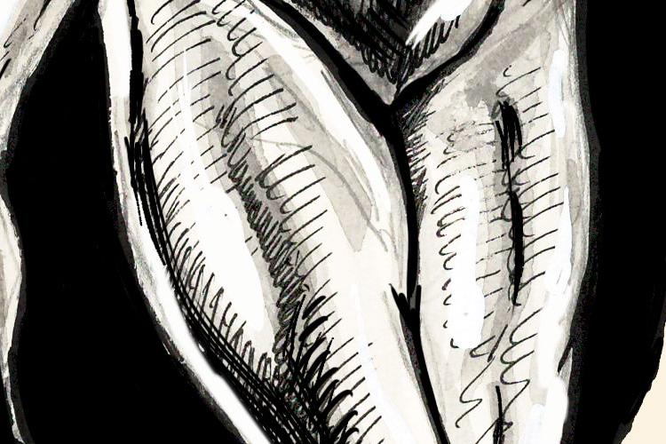 Open Zoomed Related Entry hela.jpg