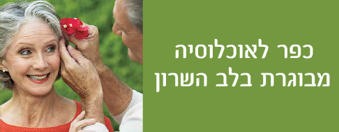 Entry 36313 in Portfolio by דורון בסון