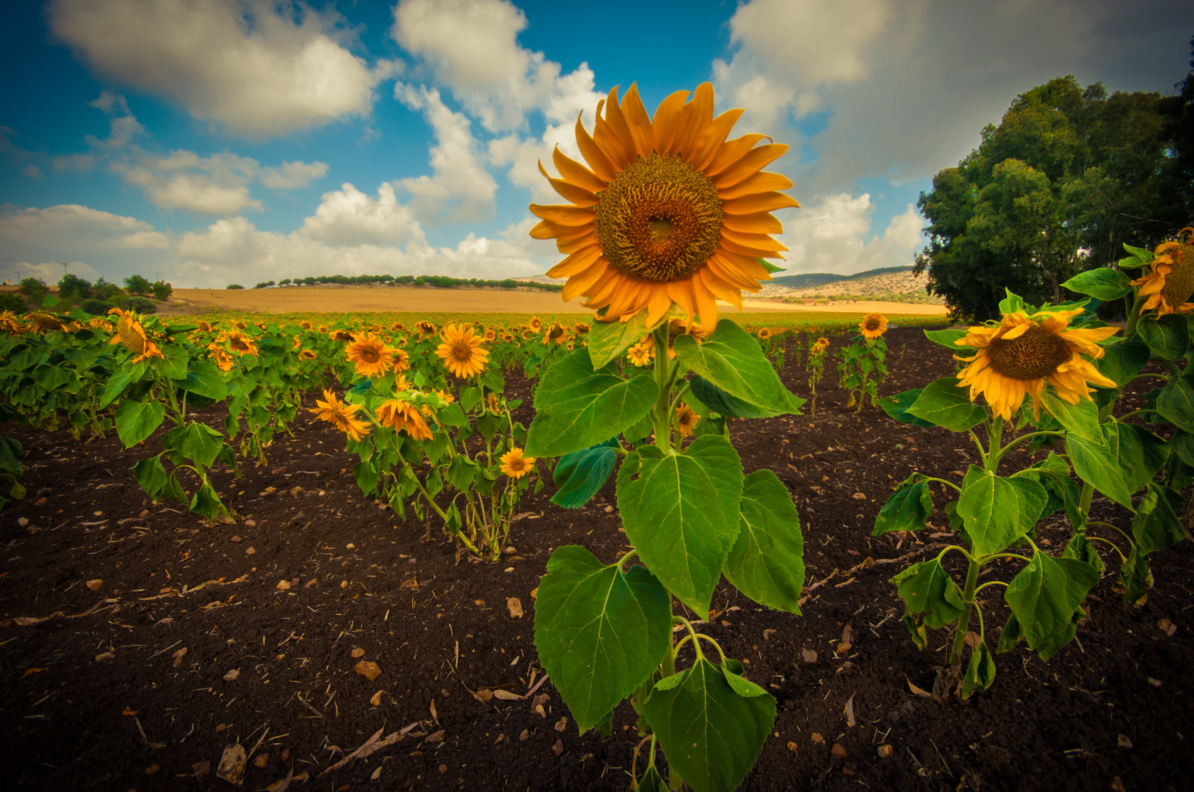 Entry 121403 in Landscapes by Ron Stollman Photography