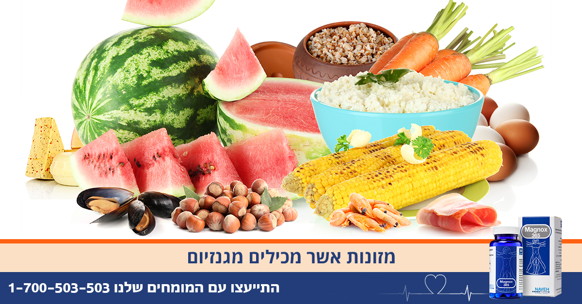 Entry 130927 in Portfolio by סטודי-אנה.