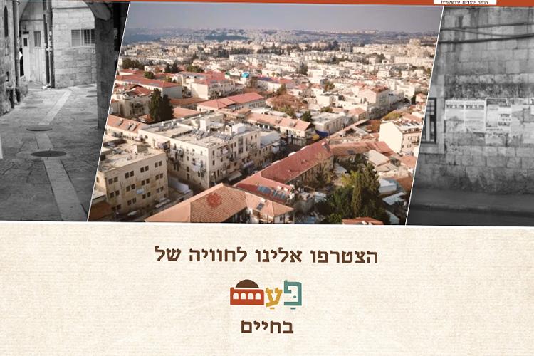 Open Zoomed Related Entry אתר מרכז פעם.jpg