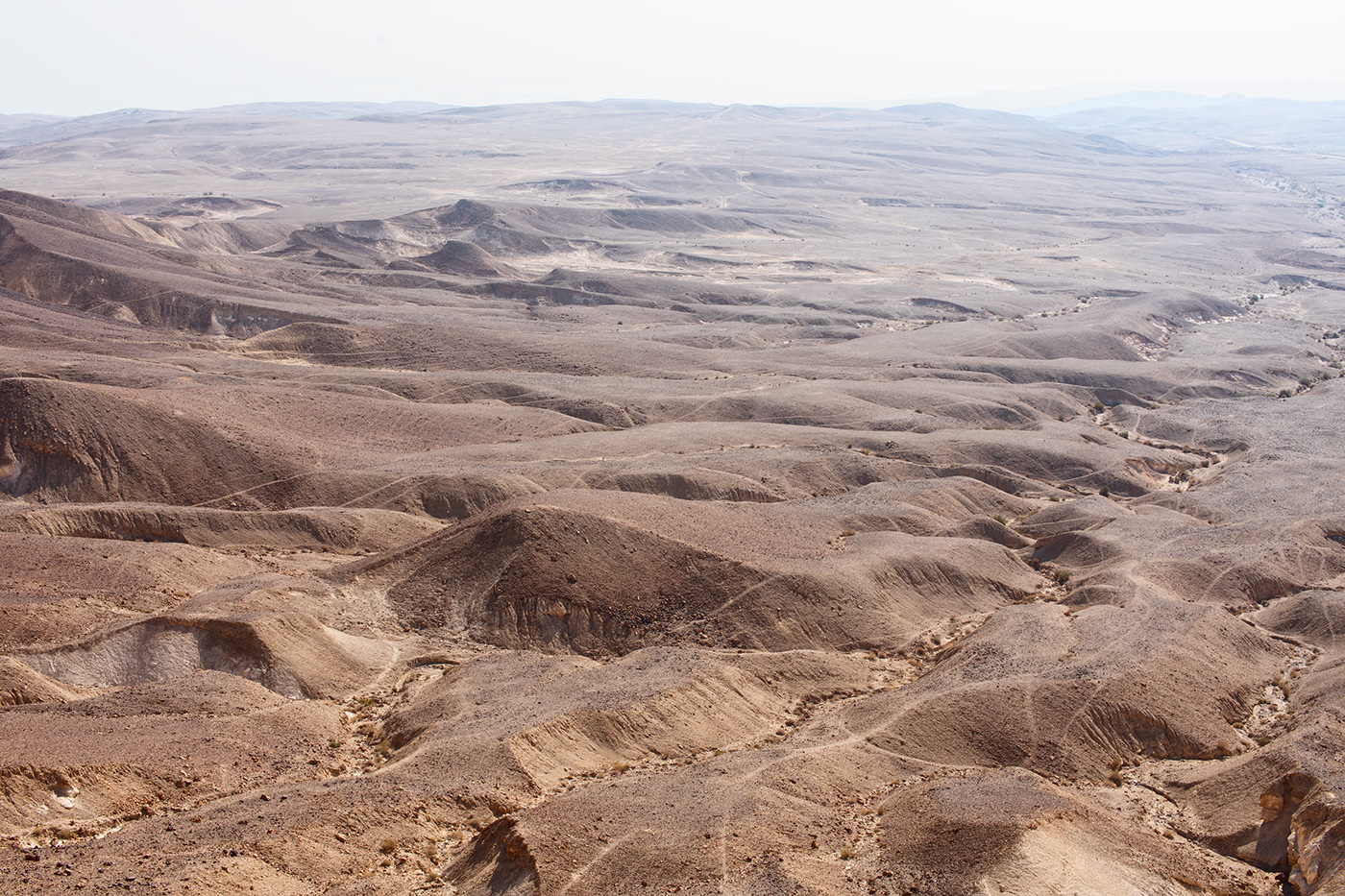 Entry 199895 in The Negev Desert: from a sunrise to the Dead Sea by Sofia Feiguelman
