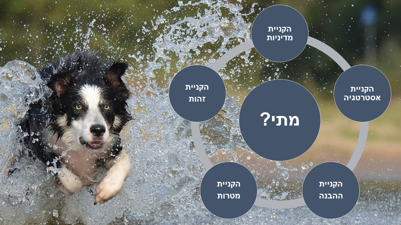 Entry 238051 in מצגת הדרכה: סיפור כמקפצה by סמארט-אפ: פיתוח תוכן לימוד מקוון
