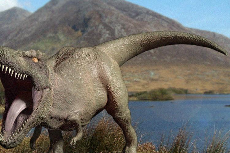 Open Zoomed Related Entry T-Rex040.png