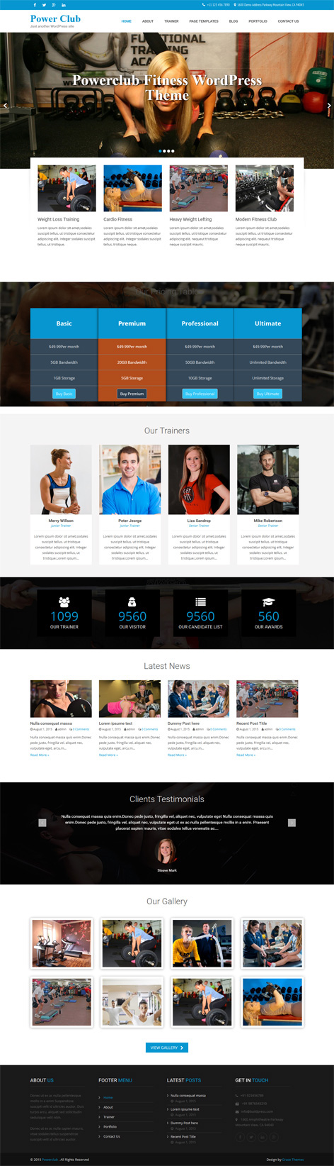 Entry 182729 in Power Club by Grace Themes