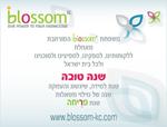 Open Zoomed Related Entry עיצוב כרטיס ברכה