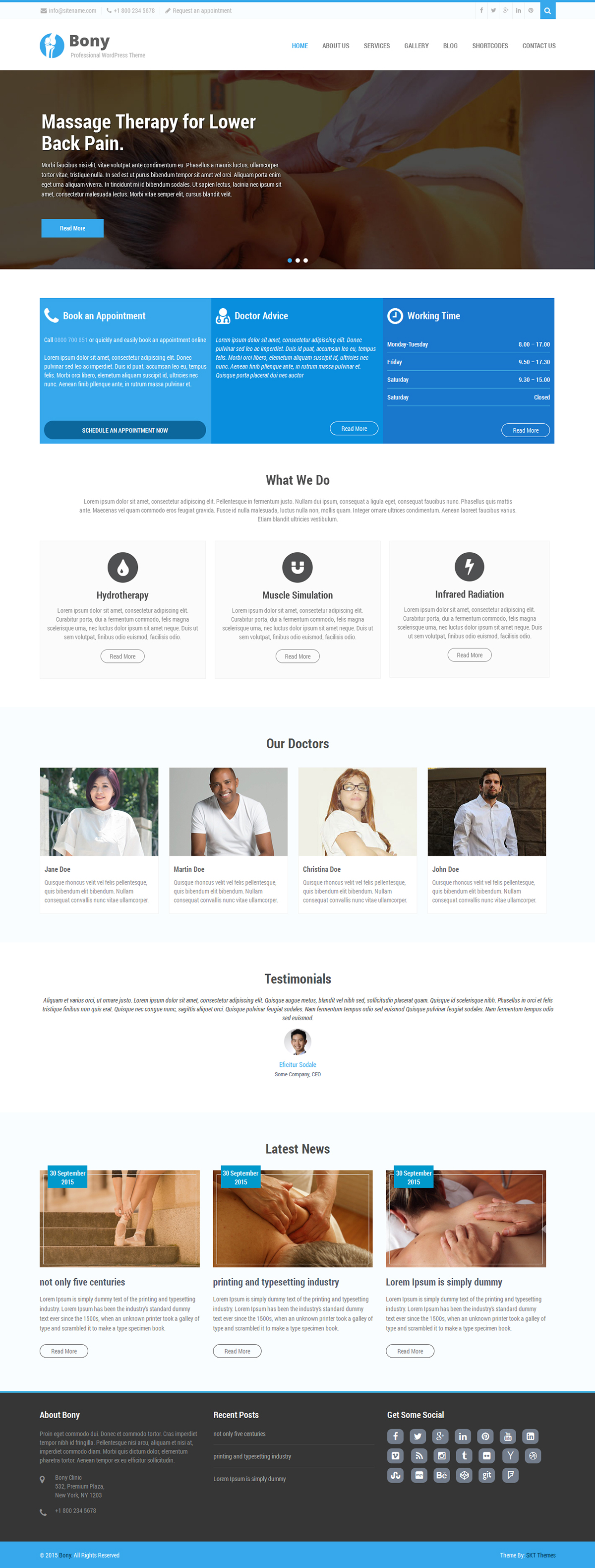 Entry 182559 in Bony Chiropractor WordPress theme by SKT Themes