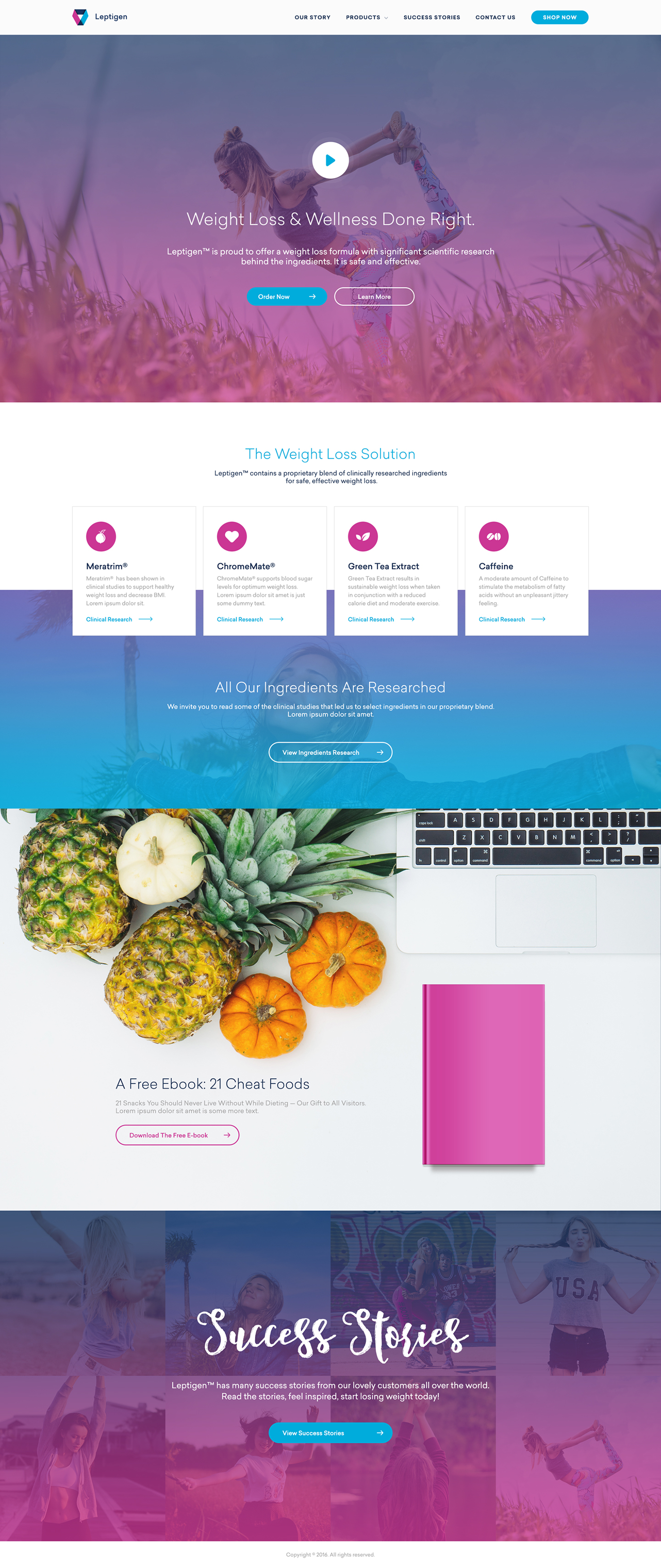 Entry 215352 in Best of 2017 - Website design by hipinspire