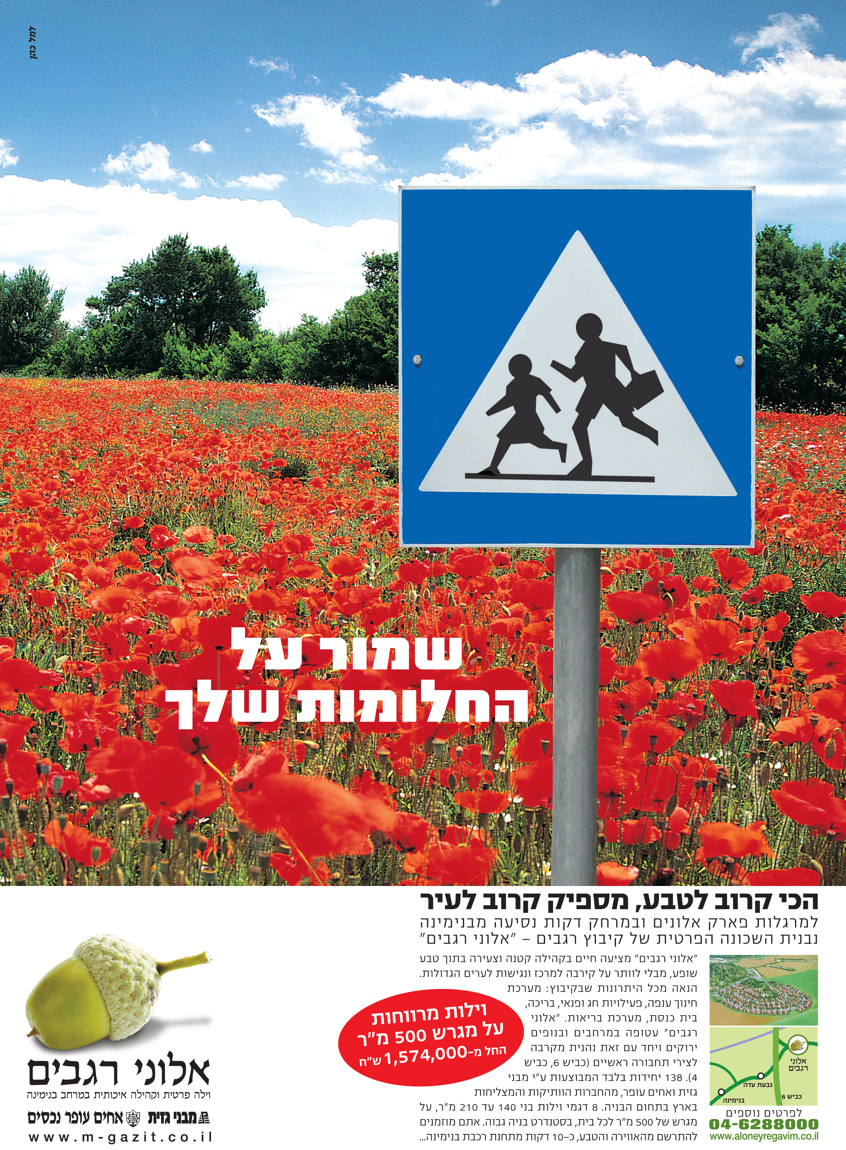 Entry 93224 in Portfolio by עירית עזרא