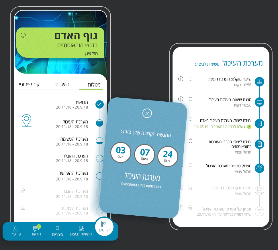 Entry 260004 in Portfolio by דפנה אלון - עיצוב חווית משתמש