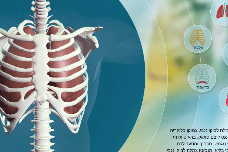 Open Zoomed Related Entry asset-6-T.png