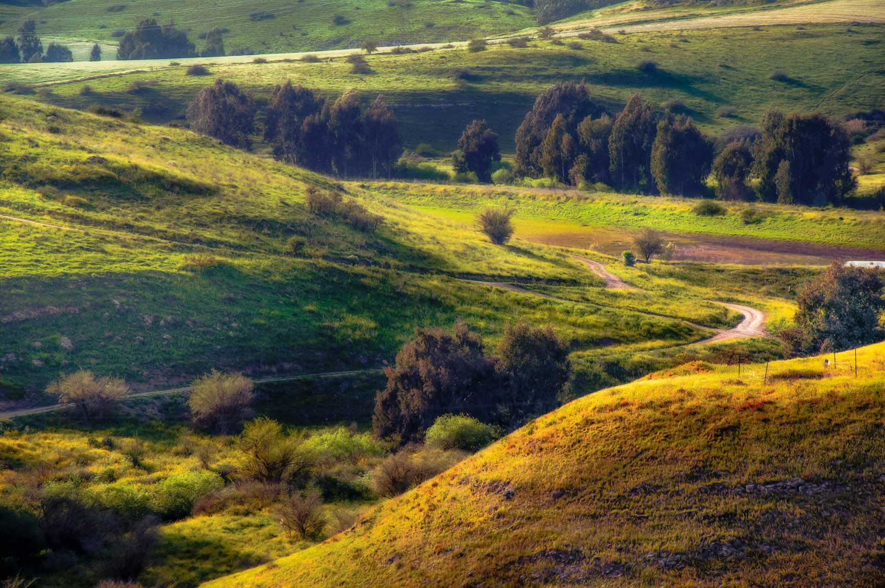 Entry 121396 in Landscapes by Ron Stollman Photography