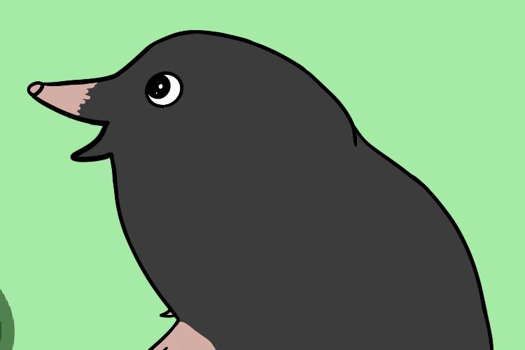 Open Zoomed Related Entry 5E0F3BAE-0E3E-4797-B030-B64A492163DA.png