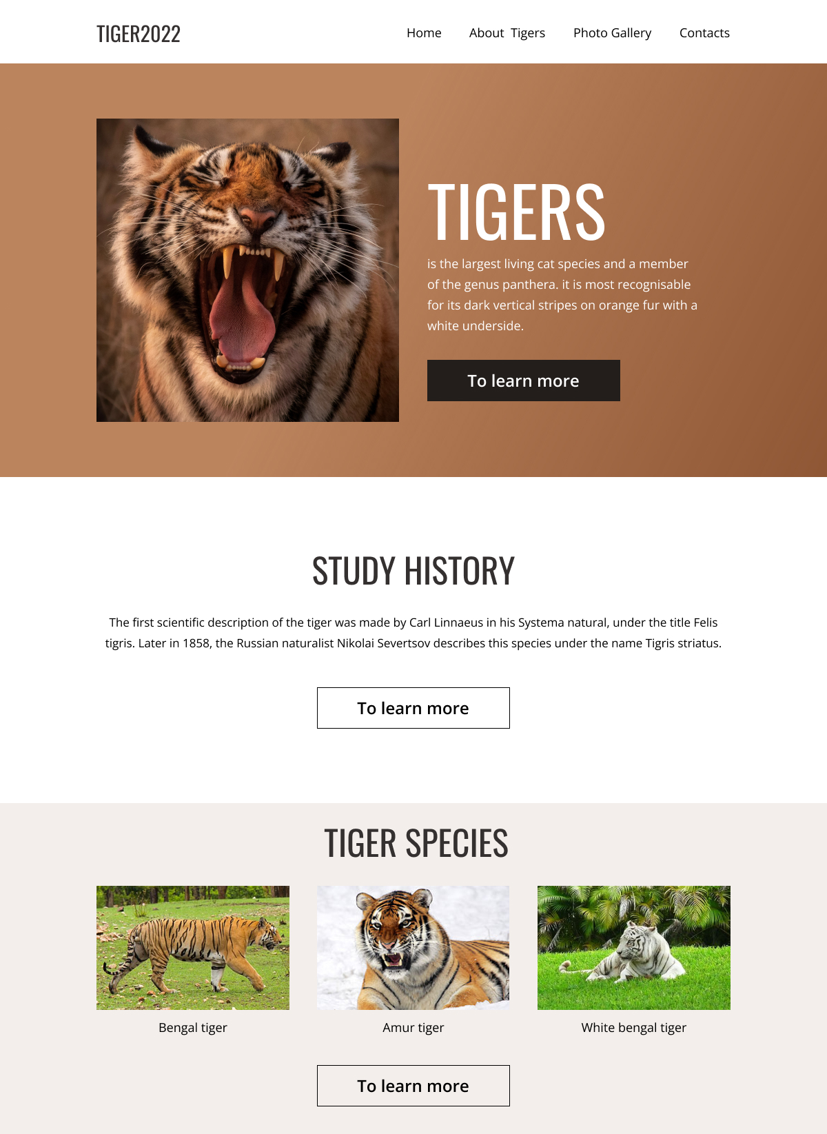 Entry 282274 in Portfolio by Mary Ioffe
