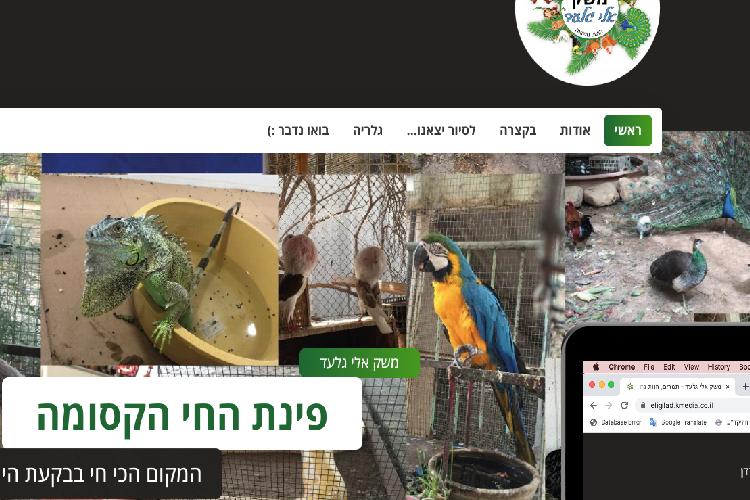 Open Zoomed Related Entry eli gilad-01.jpg