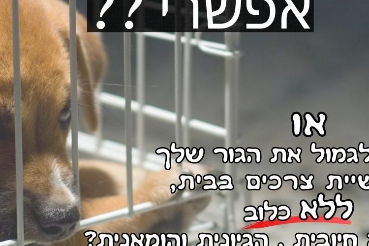 Open Entry 283106 in אפרת סימון- עיצוב לסושיאל by מירב טל CREATION