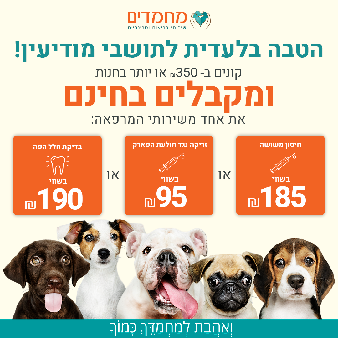 Entry 292129 in רשתות חברתיות by Dave Design
