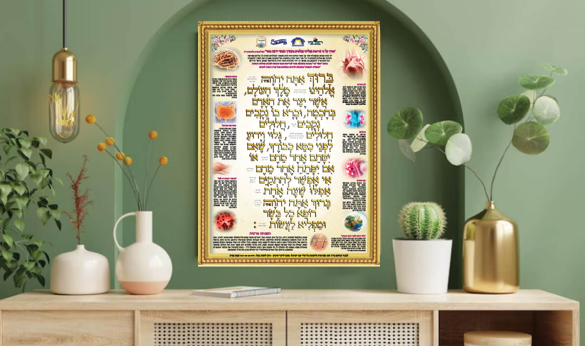 Entry 291228 in Portfolio by מירי בן בנימין - מעצבת גרפית