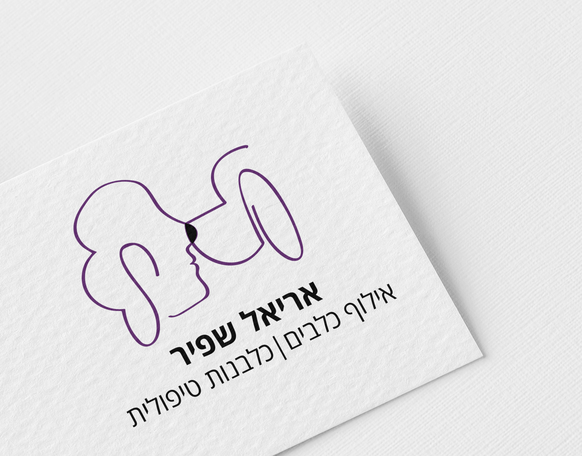 Entry 289552 in Portfolio by שניץ-עיצוב | צילום