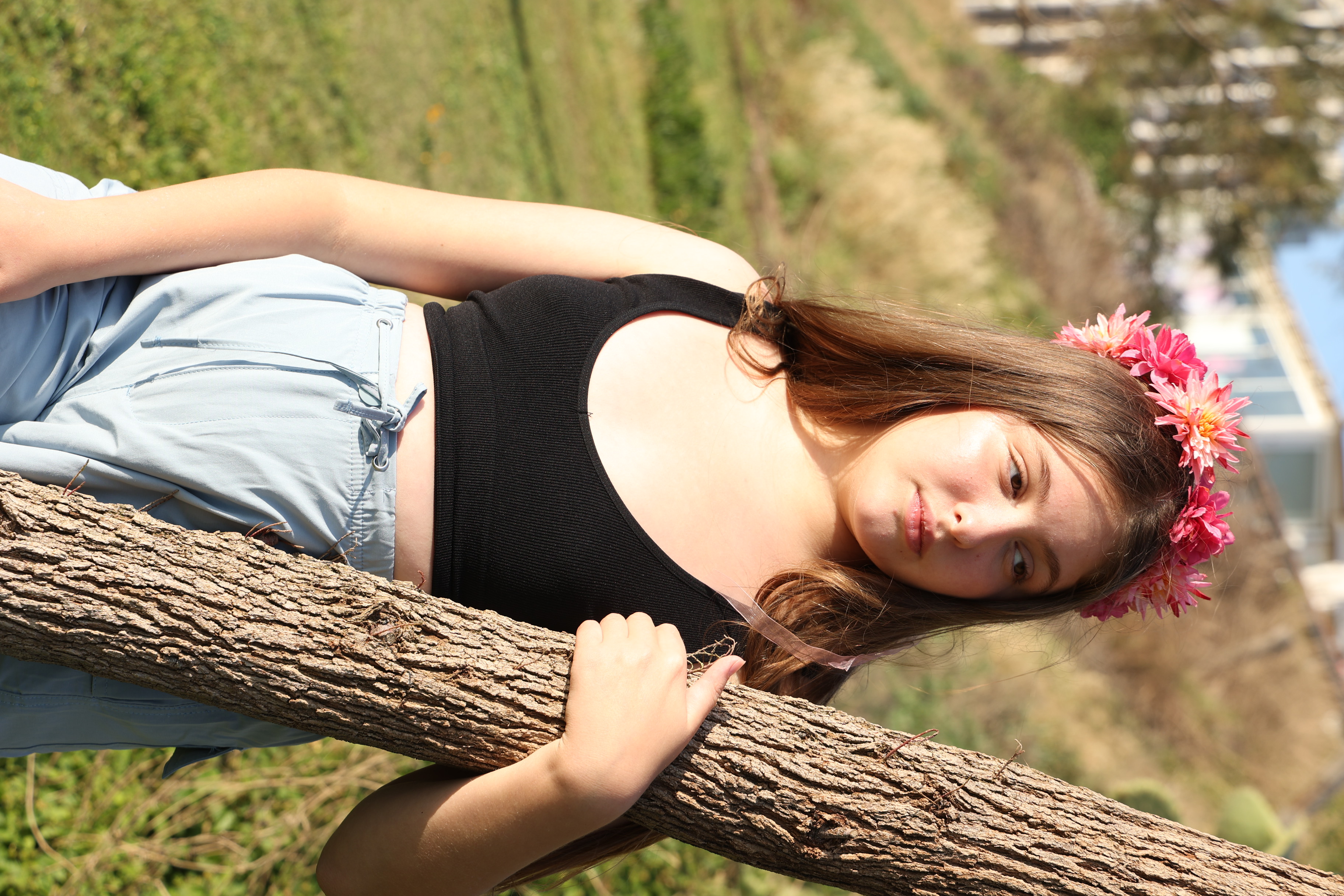 Entry 296668 in Portfolio by liron photography