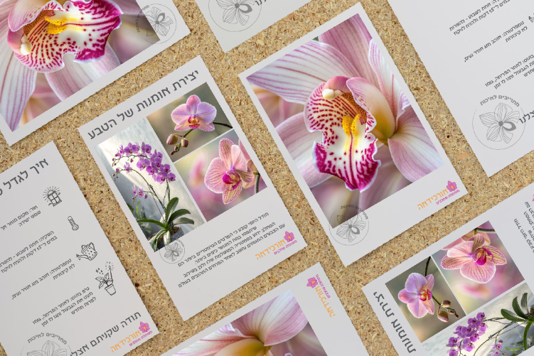 Open Zoomed Related Entry Untitled-9-01.png