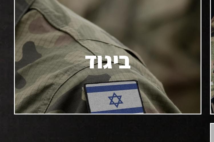Open Zoomed Related Entry צילום-מסך-2024-11-18-094340.png