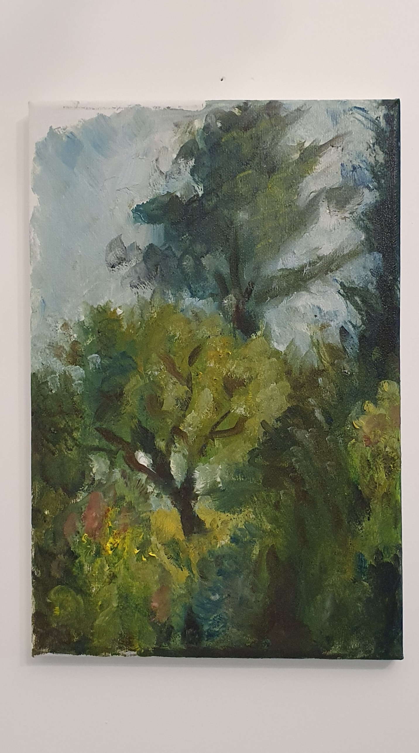 Entry 322453 in Portfolio by אוריאל פלד